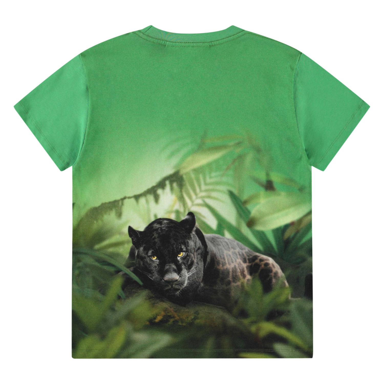 Molo T-shirt SS Riley Jaguars - Billede 4