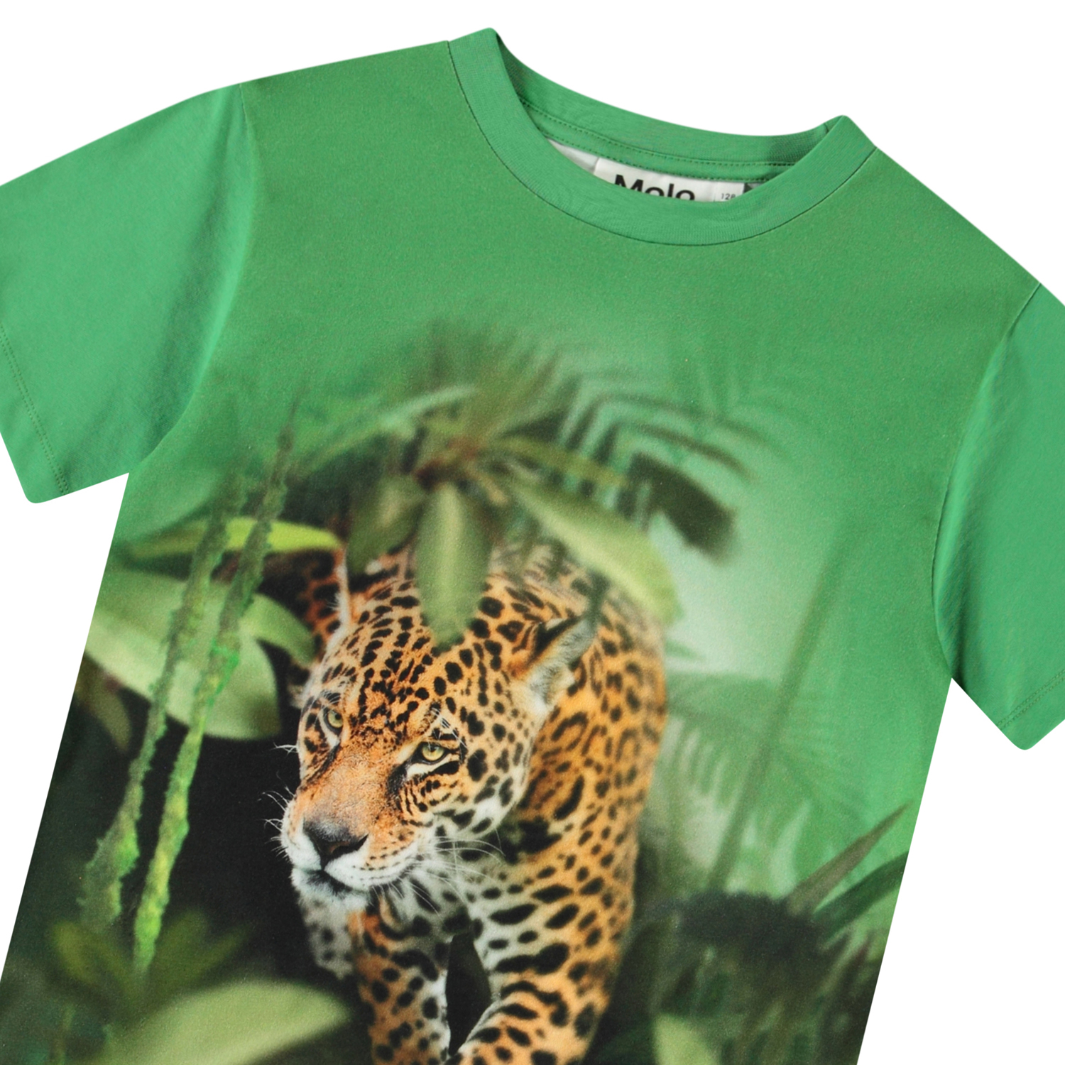 Molo T-shirt SS Riley Jaguars - Billede 5