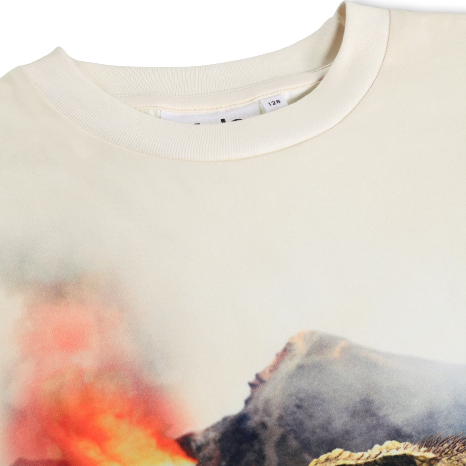 Molo T-shirt SS Riley Hot Spring Dinos - Billede 3