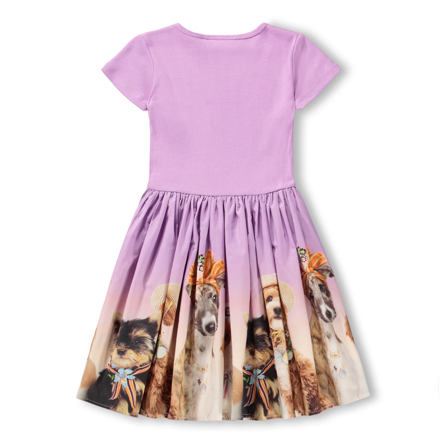 Molo Kjole Cissa Beach Ready - Billede 2