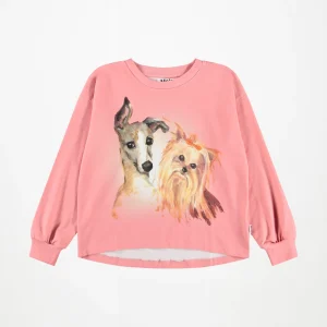 Molo Sweatshirt LS Kids Reniza Charming Dogs