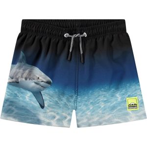 Molo Badebukser Niko Faded Shark