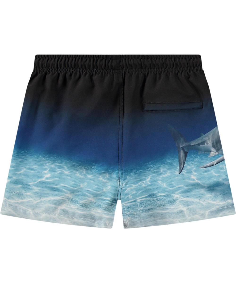 Molo Badebukser Niko Faded Shark - Billede 2