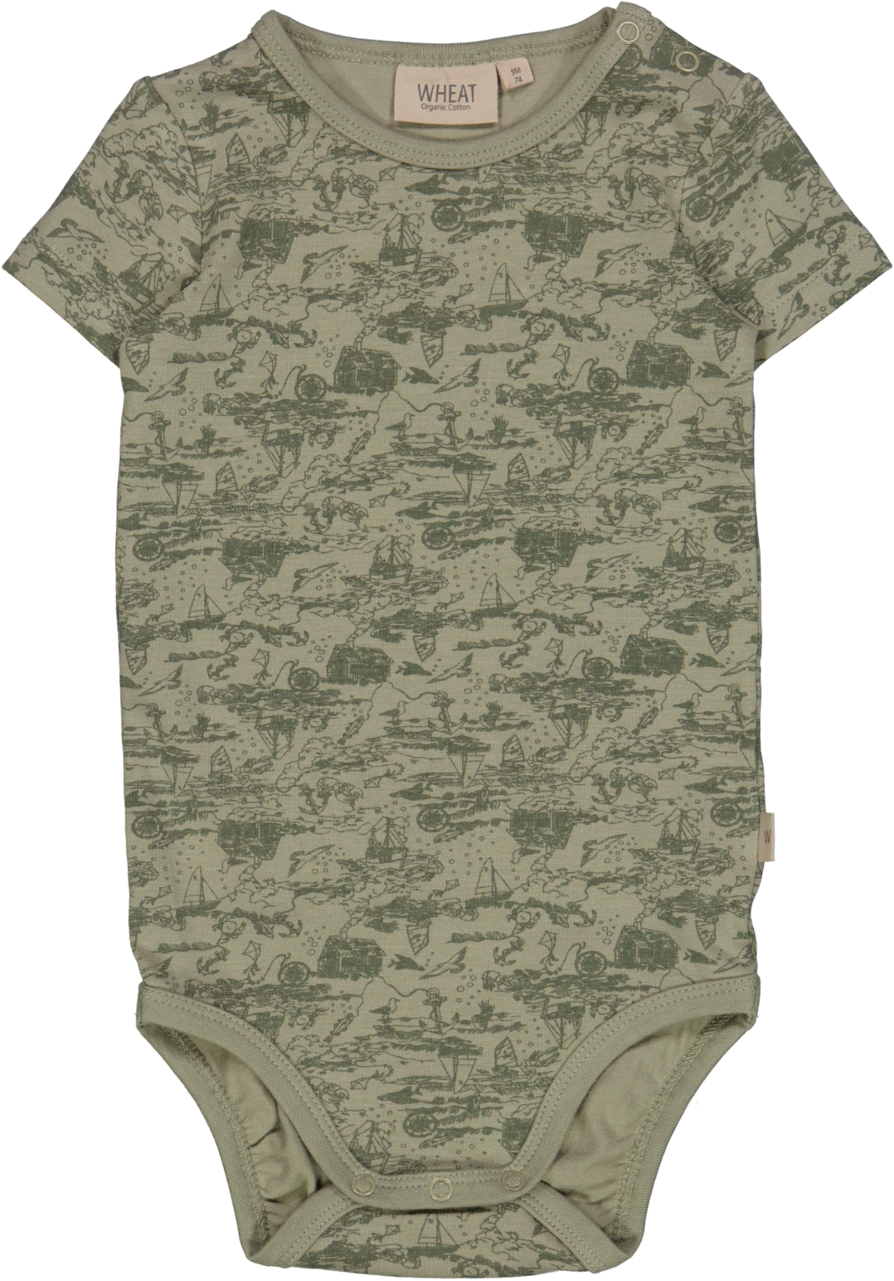 Wheat Body Plain Dried Sage Sealife