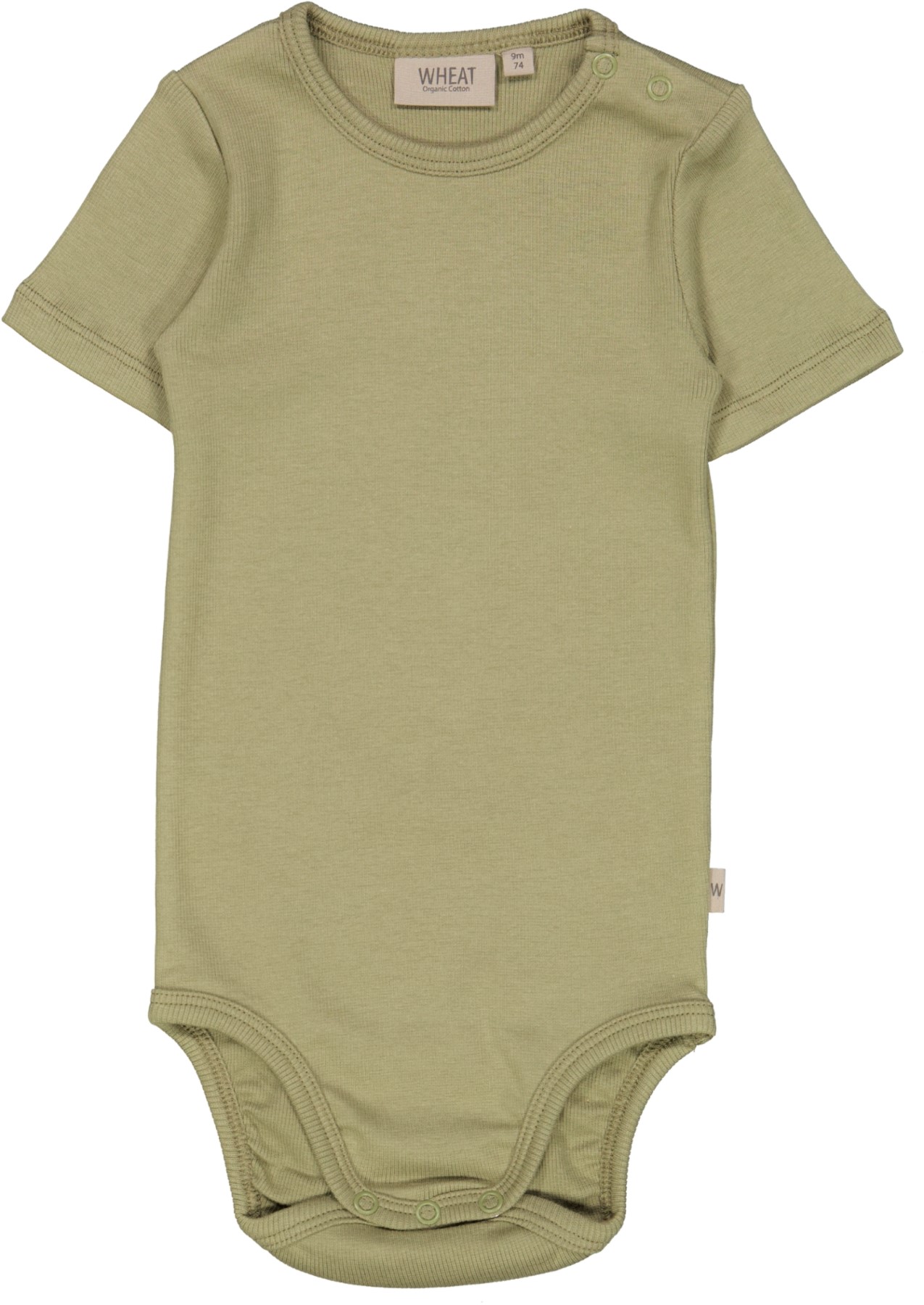 Wheat Body Rib Plain Forest Mist