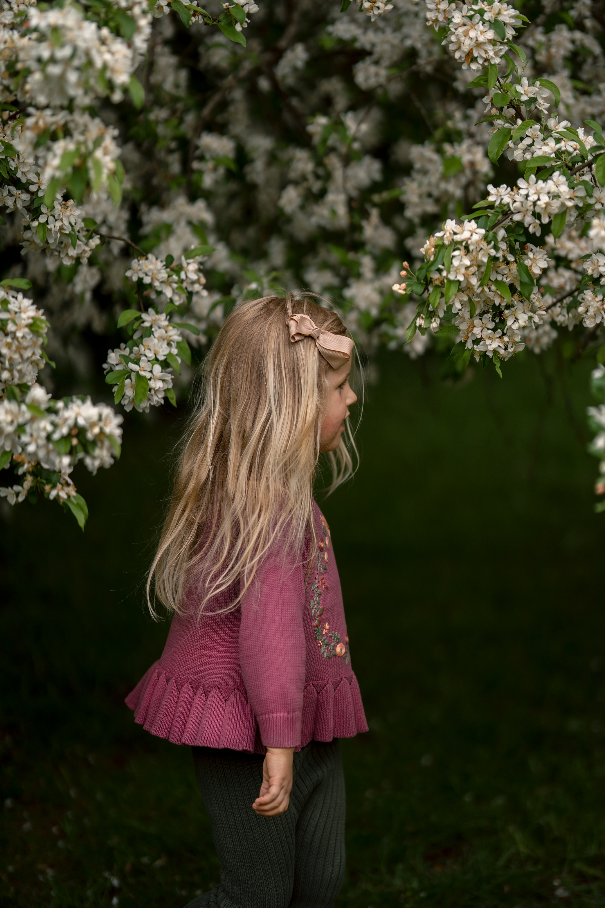 Hanevild Bluse LS Strik Agnes Chrushed Berry - Billede 6