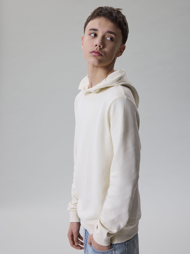 LMTD Sweatshirt Hoodie LS Nizu Turtledove - Billede 4