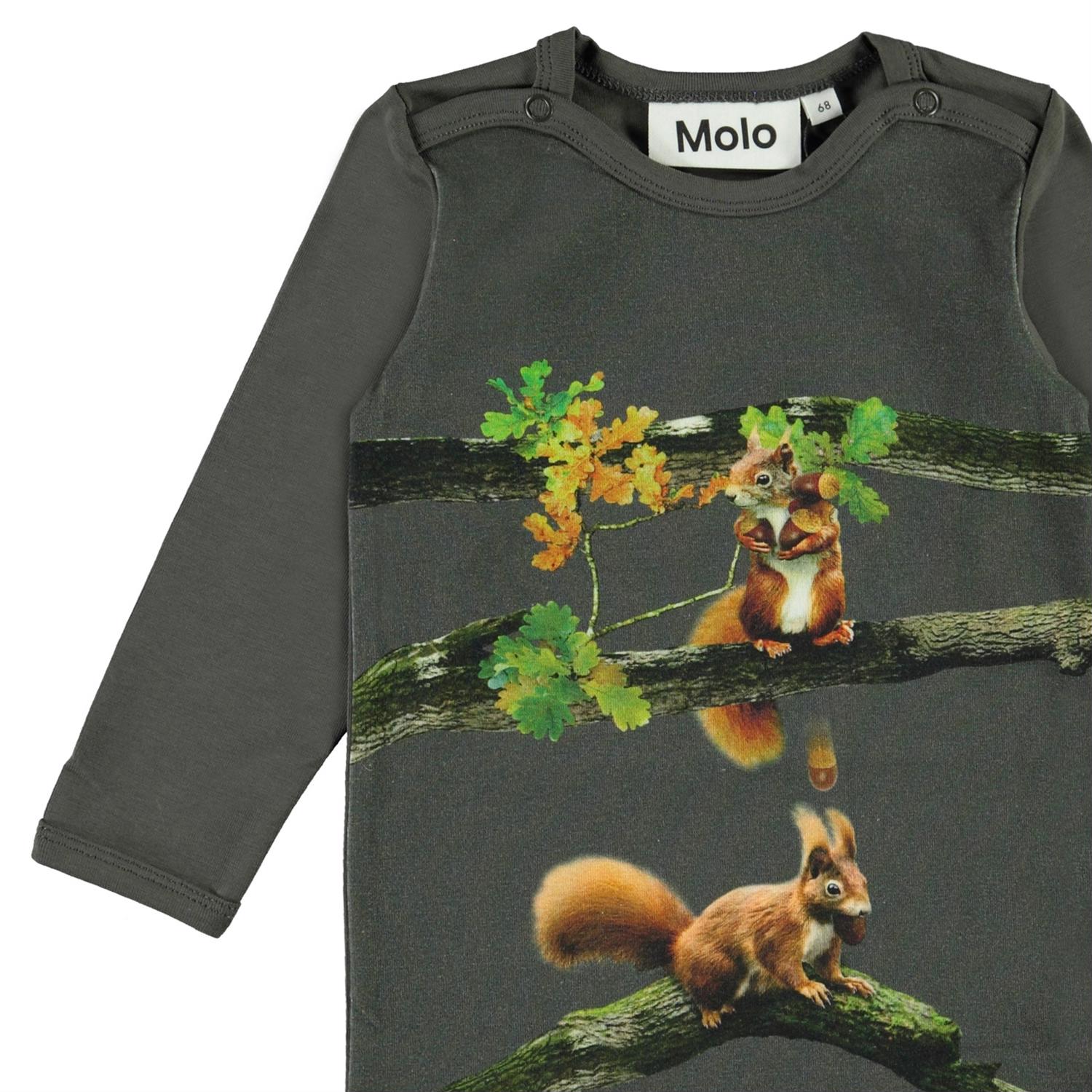 Molo Body Foss Baby Squirrel - Billede 3