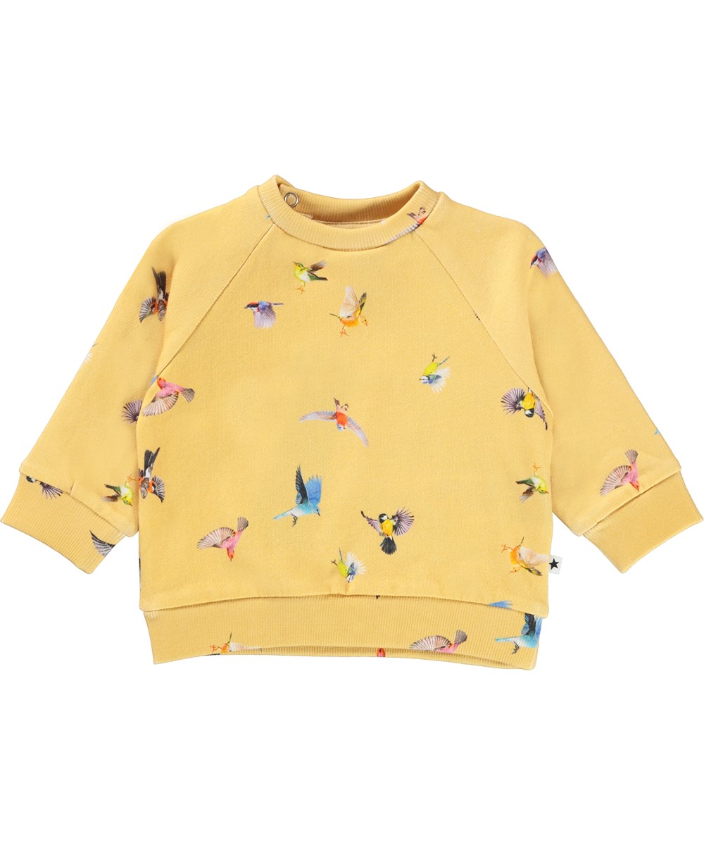 Molo Sweatshirt Dicte Mini Birds