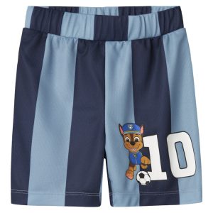 Name It Shorts Mini Jakari Paw Patrol Dusty Blue