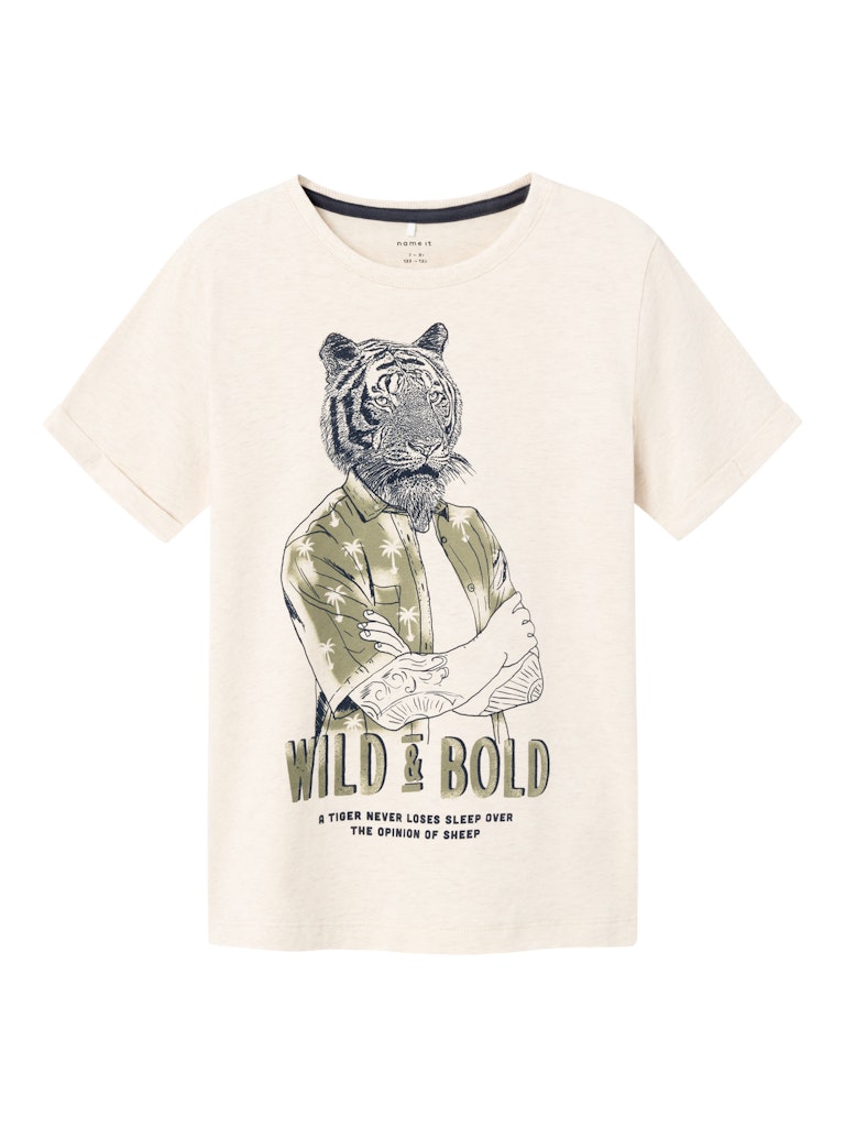 Name It T-shirt SS Hasimon Peyote Melange