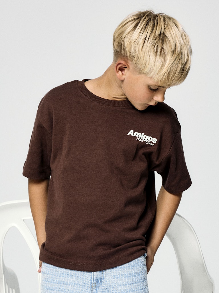 Name It T-shirt Kids SS Holle Chestnut - Billede 4